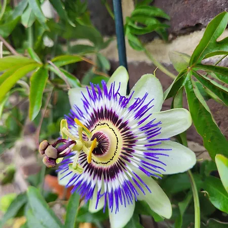 Vakantiehuis 't Kesselke *