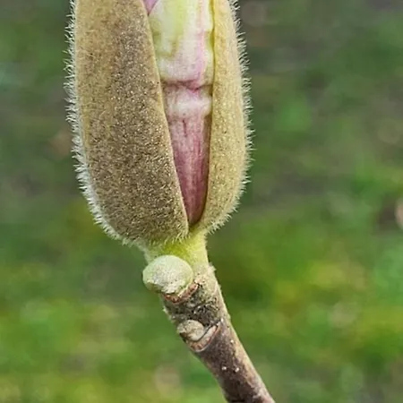 't Kesselke Holiday home Stramproy