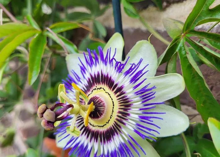 Holiday home 't Kesselke *