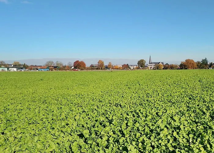 Holiday home 't Kesselke